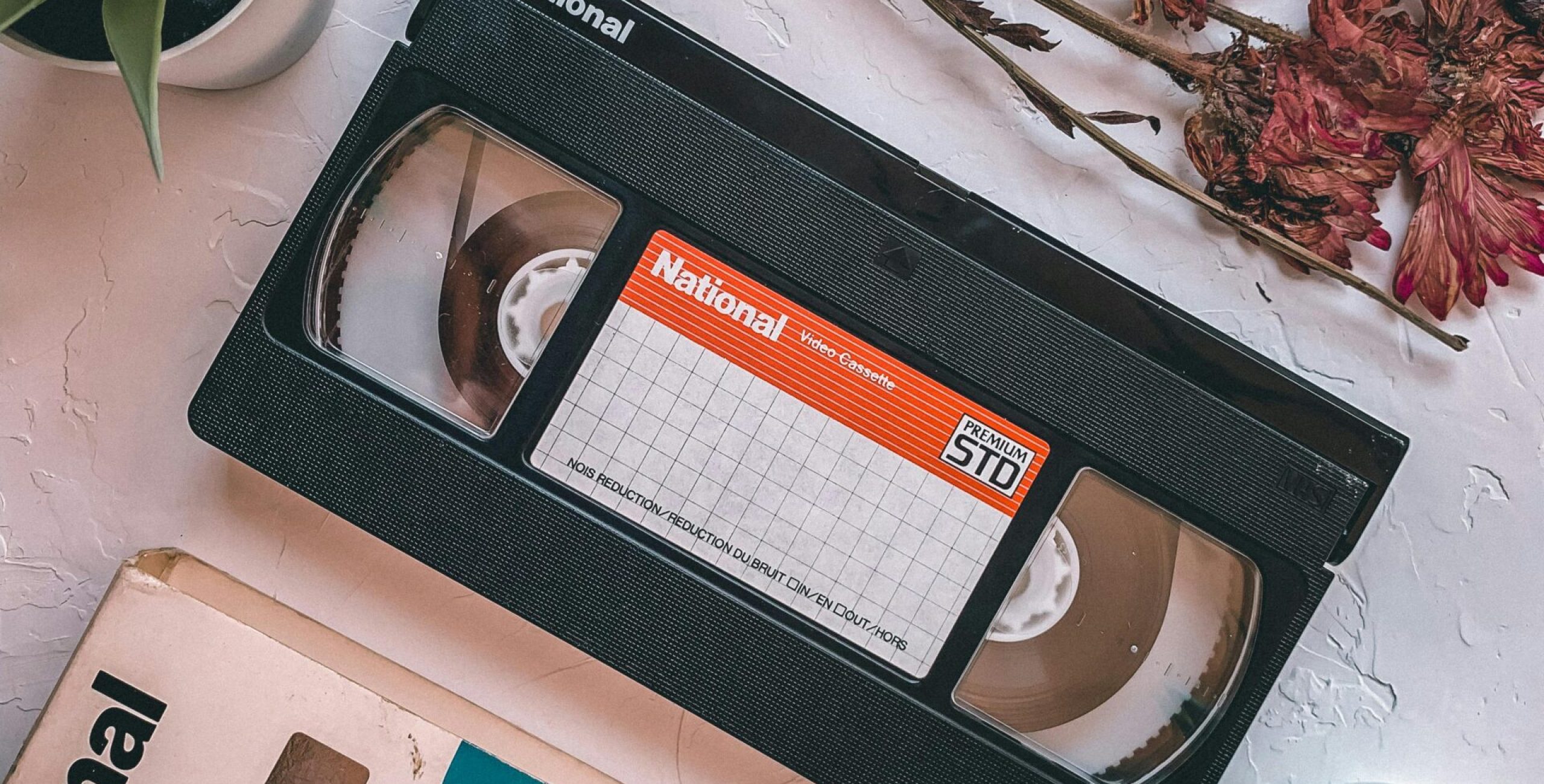 An artistic still life featuring a vintage VHS tape surrounded by dried flowers and green plants.
